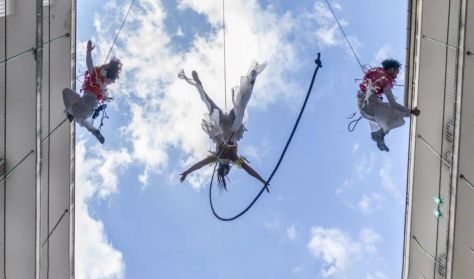 Flock Project: Eco Flight – art becomes a social action